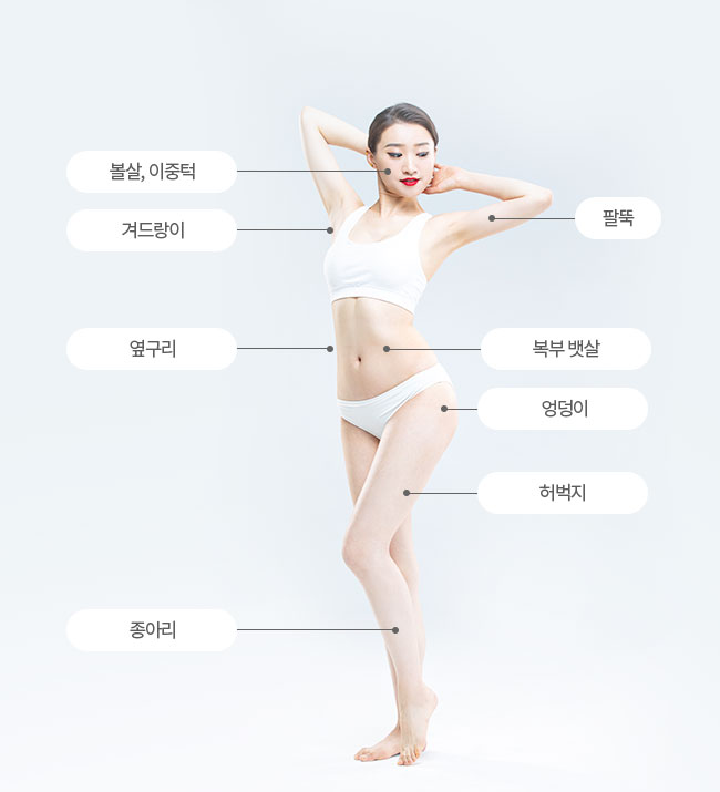볼살, 이중턱, 겨드랑이, 팔뚝, 옆구리, 복부 뱃살, 엉덩이, 허벅지, 종아리